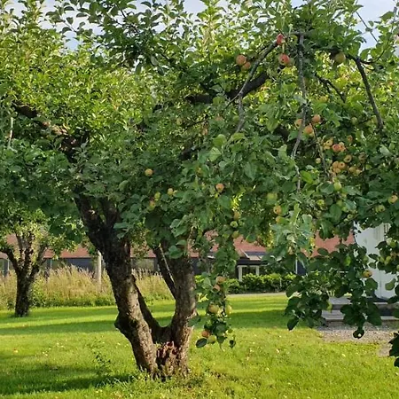 Pensjonat Willa Holst Asker